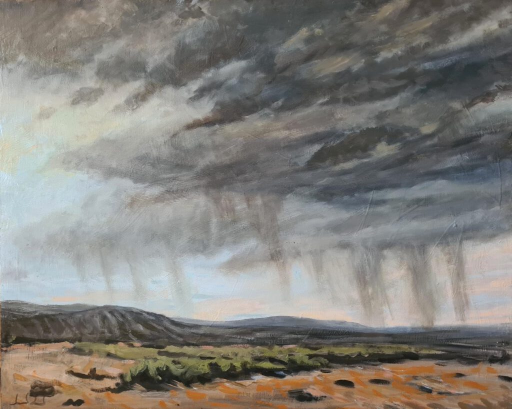 Tormenta en el campo